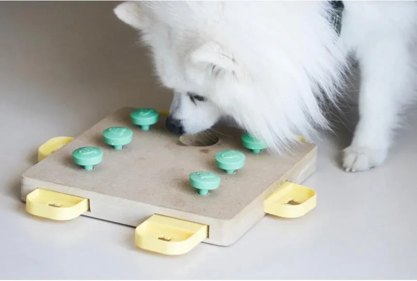 Enrichment activities in daycare